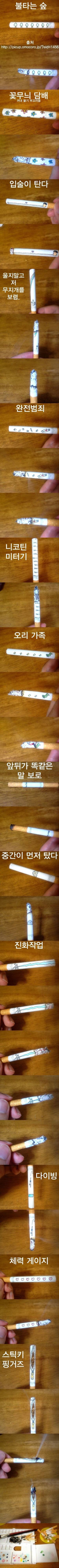 In - 아이디어 - 영 피우기 껄끄러운 담배.jpg