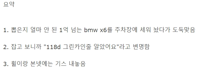 BMW X6 도둑맞은 보배 아재 06.jpg