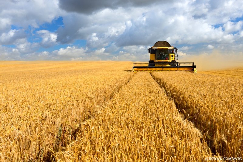 combine-harvester-in-barley-field-during-harvest-picture-id535873737.jpg.800x600_q96.png