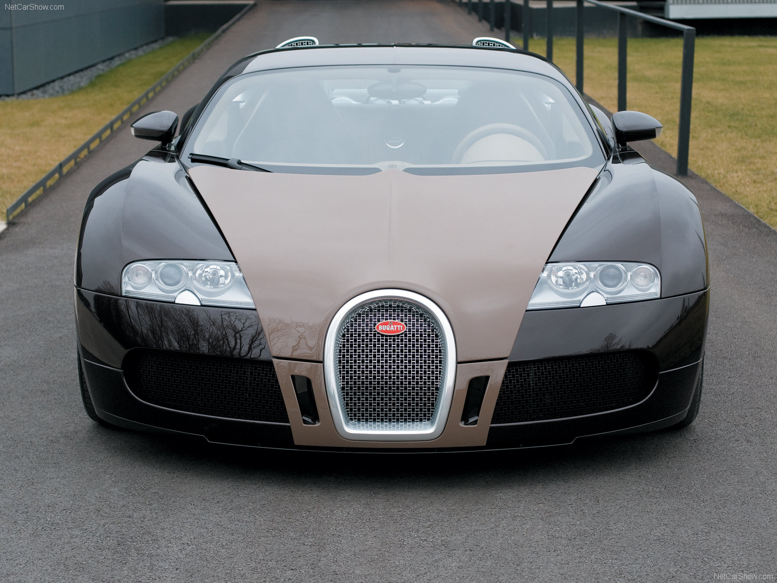 Bugatti-Veyron_Fbg_par_Hermes_04.jpg