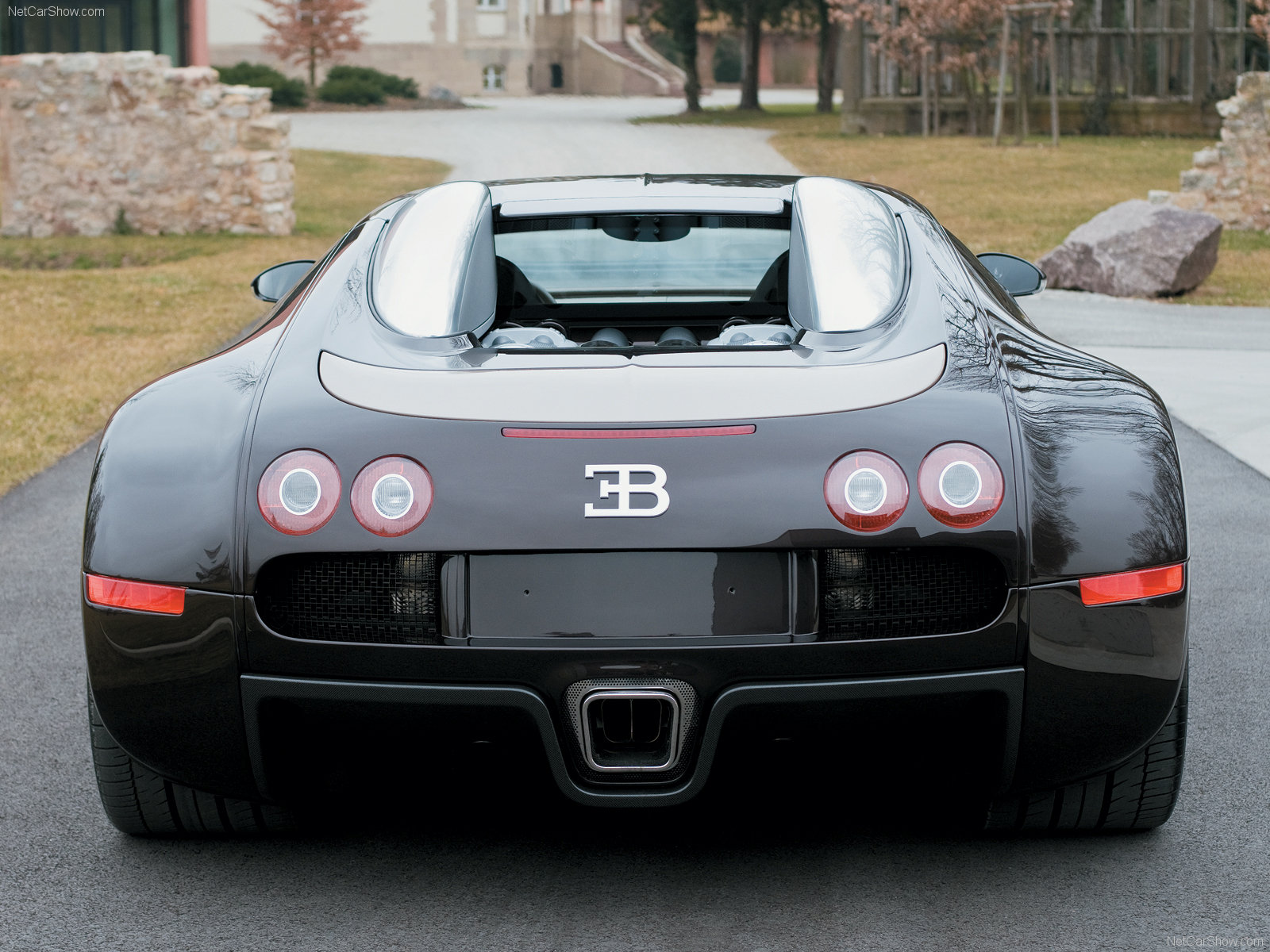 Bugatti-Veyron_Fbg_par_Hermes_05.jpg