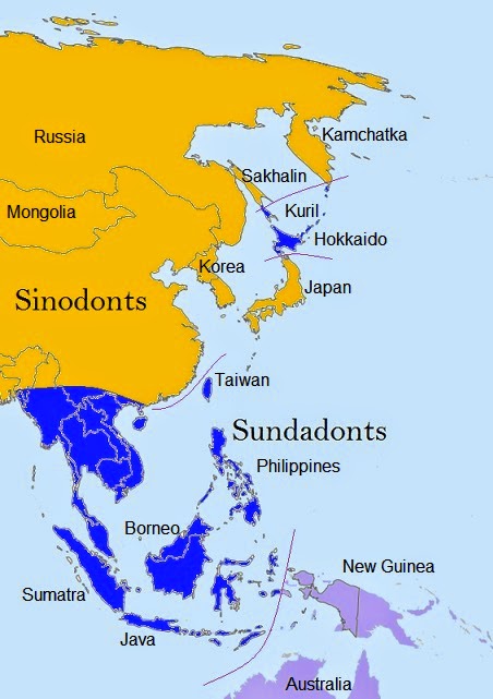 sinodont-sundadont map.jpg