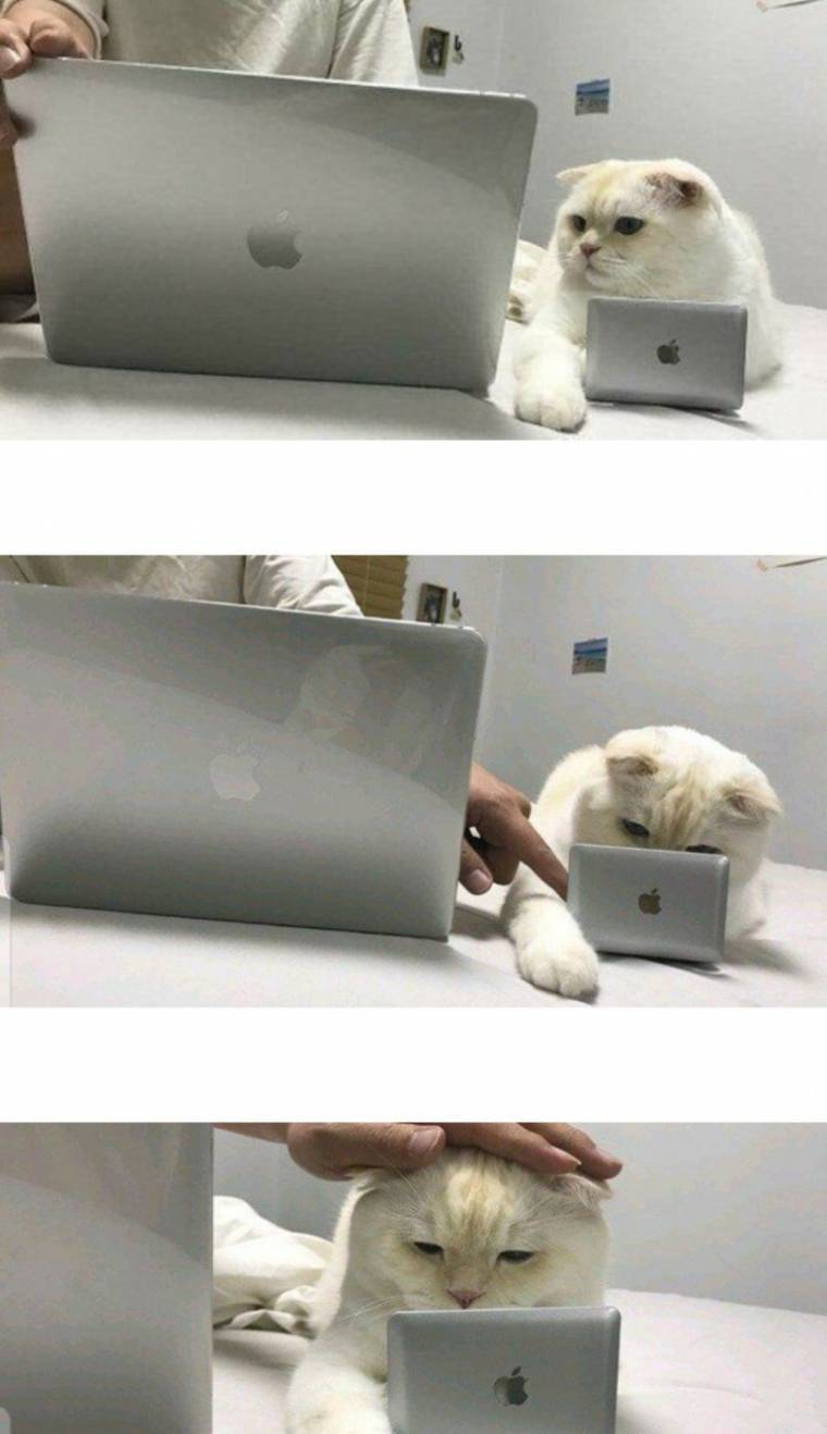 냥이 - 고양이 방해 방지 노트북.jpg